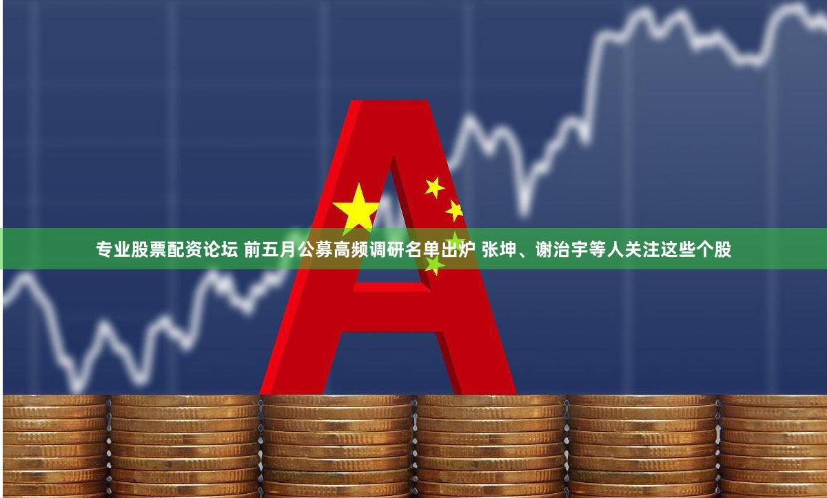 专业股票配资论坛 前五月公募高频调研名单出炉 张坤、谢治宇等人关注这些个股