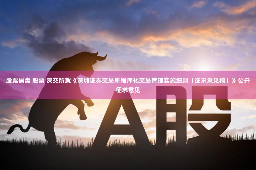 股票操盘 股票 深交所就《深圳证券交易所程序化交易管理实施细则（征求意见稿）》公开征求意见