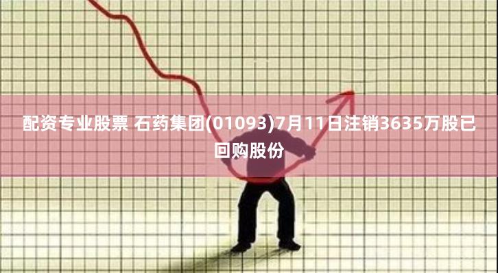 配资专业股票 石药集团(01093)7月11日注销3635万股已回购股份