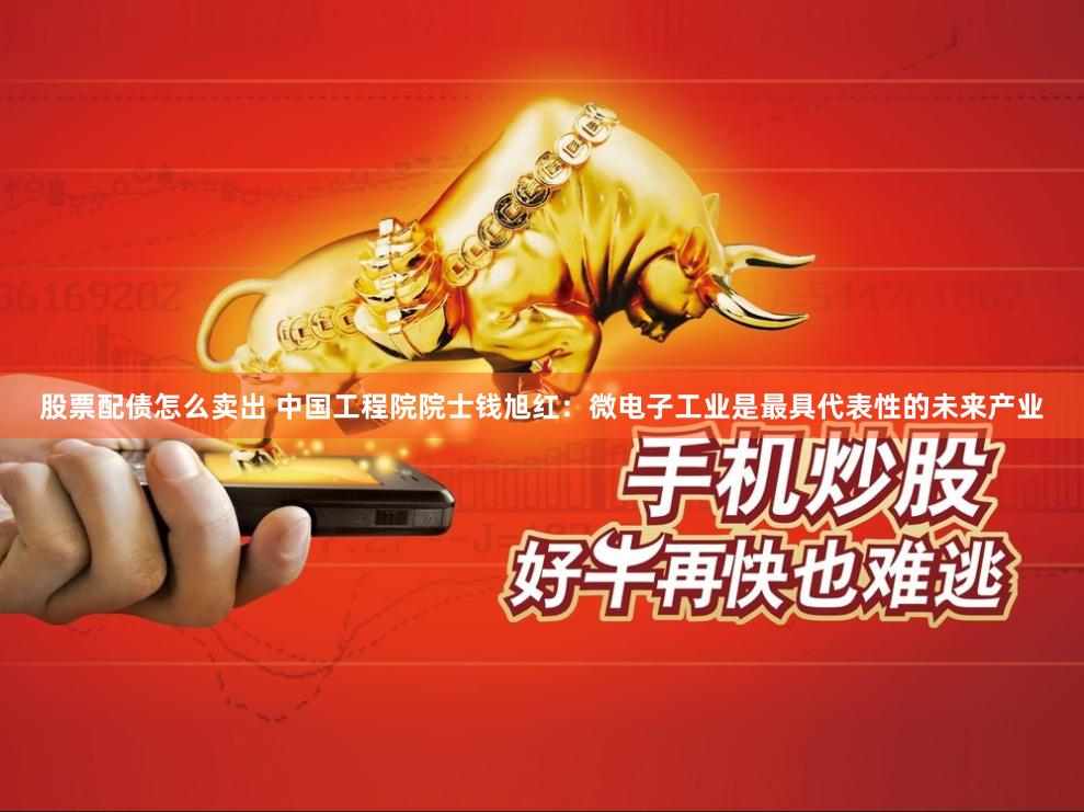股票配债怎么卖出 中国工程院院士钱旭红：微电子工业是最具代表性的未来产业