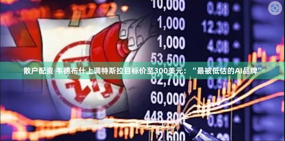 散户配资 韦德布什上调特斯拉目标价至300美元：“最被低估的AI品牌”