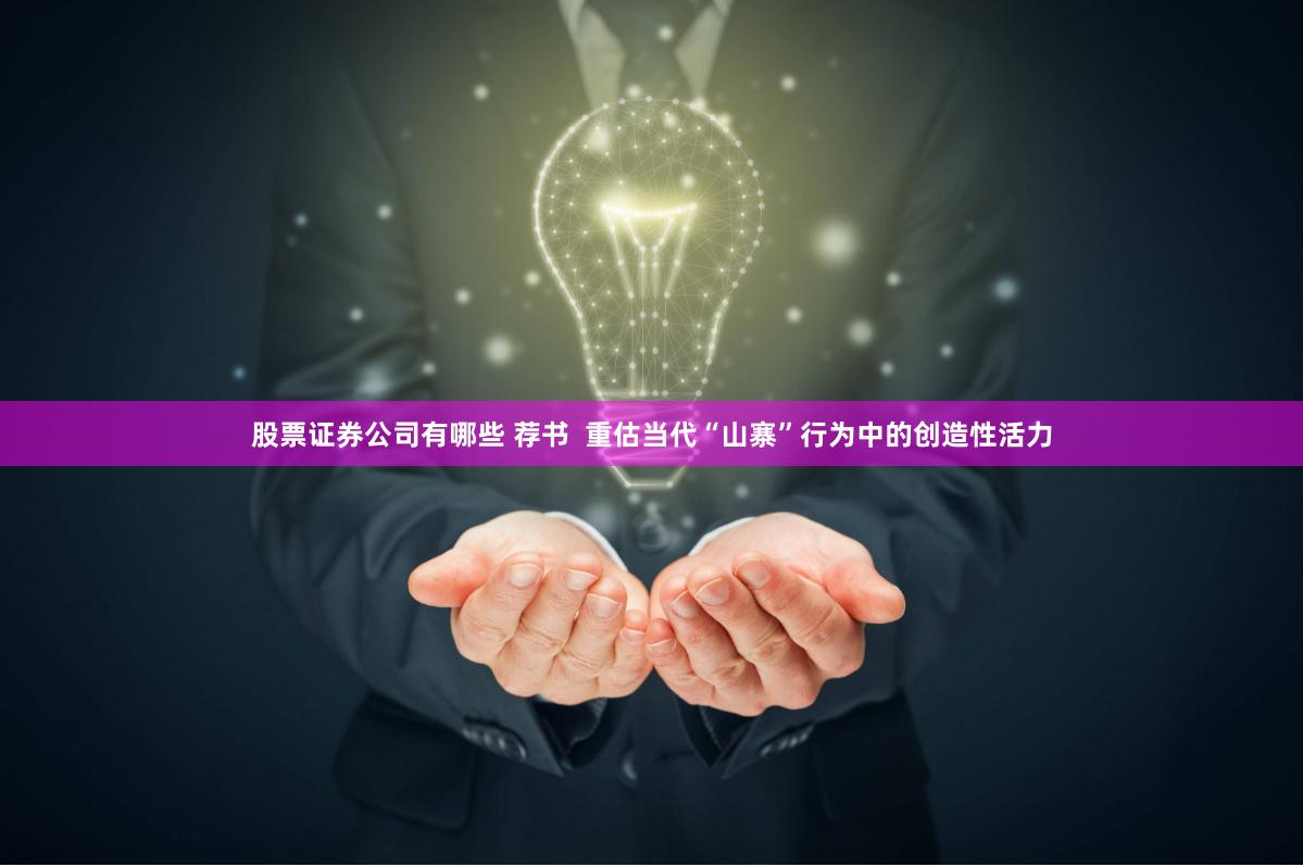 股票证券公司有哪些 荐书  重估当代“山寨”行为中的创造性活力