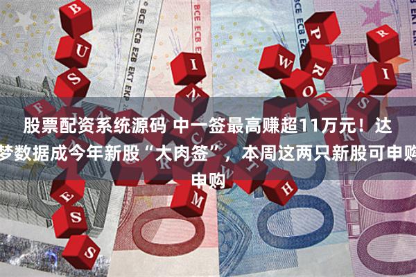 股票配资系统源码 中一签最高赚超11万元！达梦数据成今年新股“大肉签”，本周这两只新股可申购