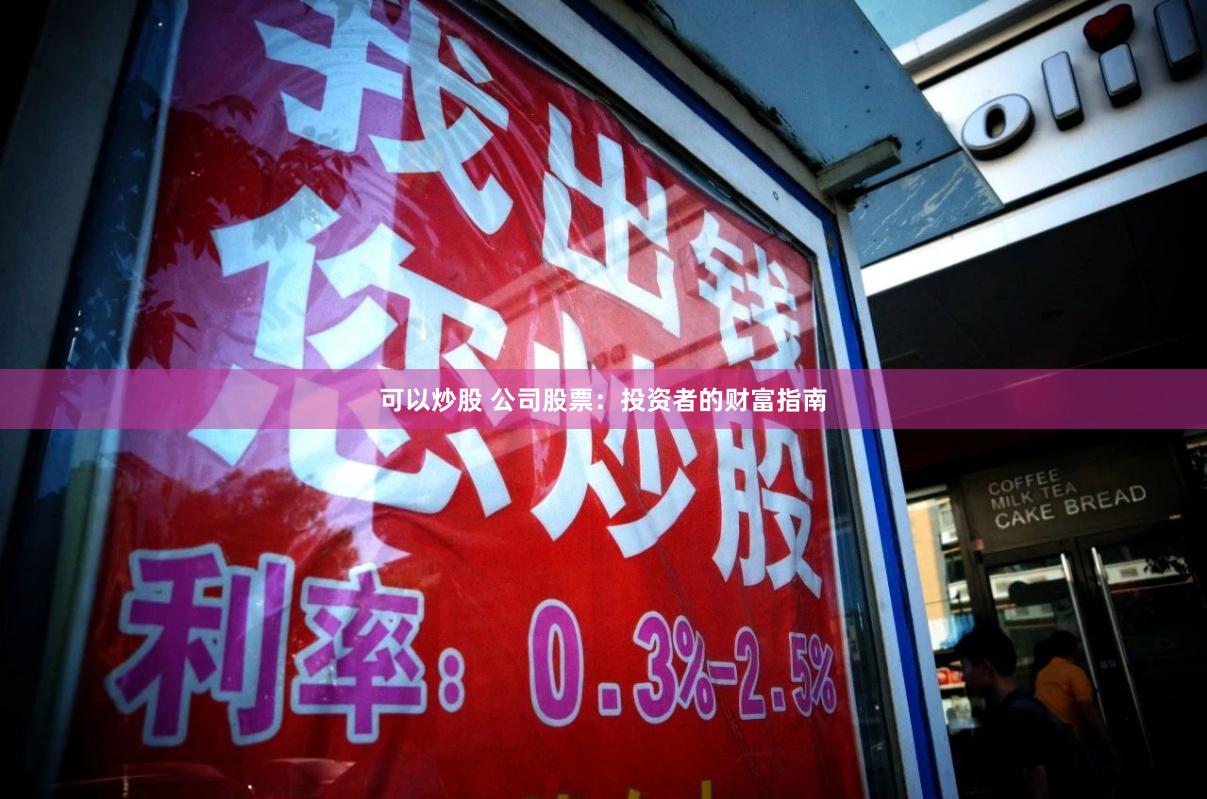 可以炒股 公司股票：投资者的财富指南